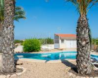 Resale - villa - Guardamar del Segura - EL RASO