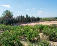 Resale - villa - Guardamar del Segura - EL RASO