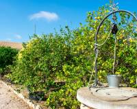 Resale - villa - Guardamar del Segura - EL RASO