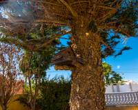 Resale - villa - La Siesta - El Salado - Torreta - La Siesta