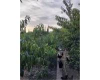 Resale - villa - Montserrat