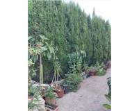 Resale - villa - Montserrat