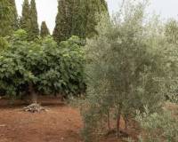 Resale - villa - Onda