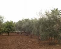 Resale - villa - Onda