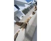 Resale - villa - Orihuela - Entre Naranjos Vistabella Golf