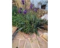 Resale - villa - Palma De Gandía