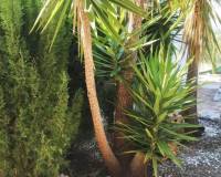 Resale - villa - Parcent