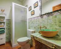 Resale - villa - San Isidro