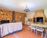 Resale - villa - San Isidro