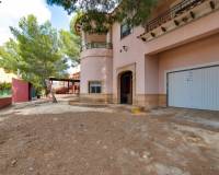 Resale - villa - San Miguel de Salinas