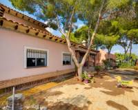 Resale - villa - San Miguel de Salinas
