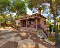 Resale - villa - San Miguel de Salinas