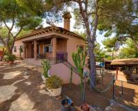 Resale - villa - San Miguel de Salinas