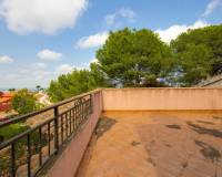 Resale - villa - San Miguel de Salinas