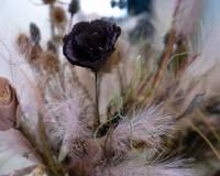 Resale - villa - San Miguel de Salinas