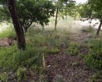 Resale - villa - Segorbe