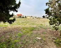 Resale - VILLA - Torrevieja - La Mata