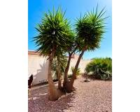 Resale - - VILLA - Torrevieja - Urbanización San Luis
