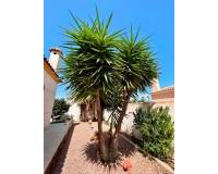 Resale - - VILLA - Torrevieja - Urbanización San Luis