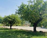 Resale - villa - Turís