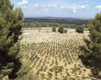 Resale - villa - Venta Del Moro