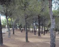 Resale - villa - Venta Del Moro