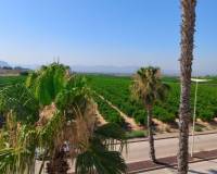 Resale - Wohnung - Algorfa