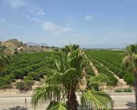 Resale - Wohnung - Algorfa