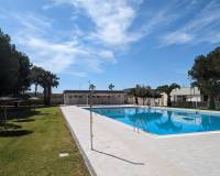 Resale - Wohnung - Algorfa