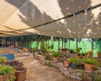 Resale - Wohnung - Catral