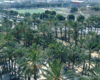Resale - Wohnung - Elche
