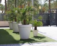 Resale - Wohnung - Elche