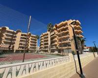Resale - WOHNUNG - La Mata - Los Europeos