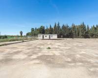 Resale - Wohnung - Los Montesinos