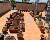 Resale - Wohnung - Orihuela Costa