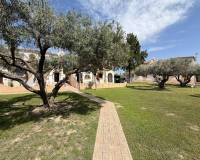Resale - Wohnung - San Miguel de Salinas - BLUE LAGOON