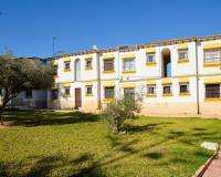 Resale - Wohnung - San Miguel de Salinas - BLUE LAGOON