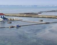 Resale - Wohnung - San Pedro del Pinatar