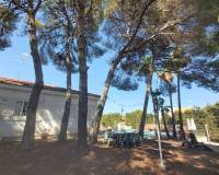 Resale - Wohnung - Torrevieja