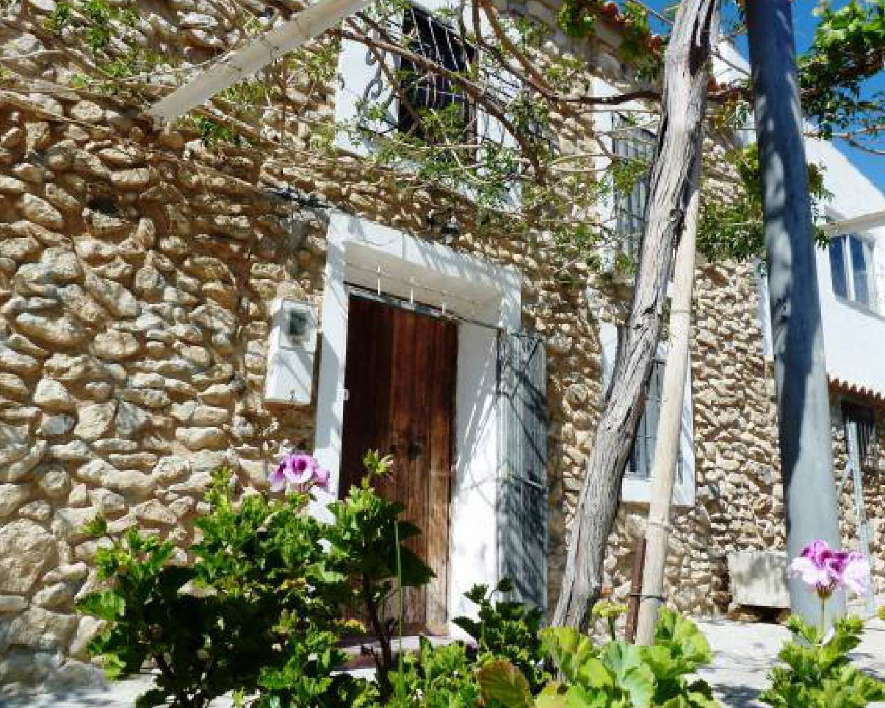 Semi-Detached - Resale - Murcia - Murcia