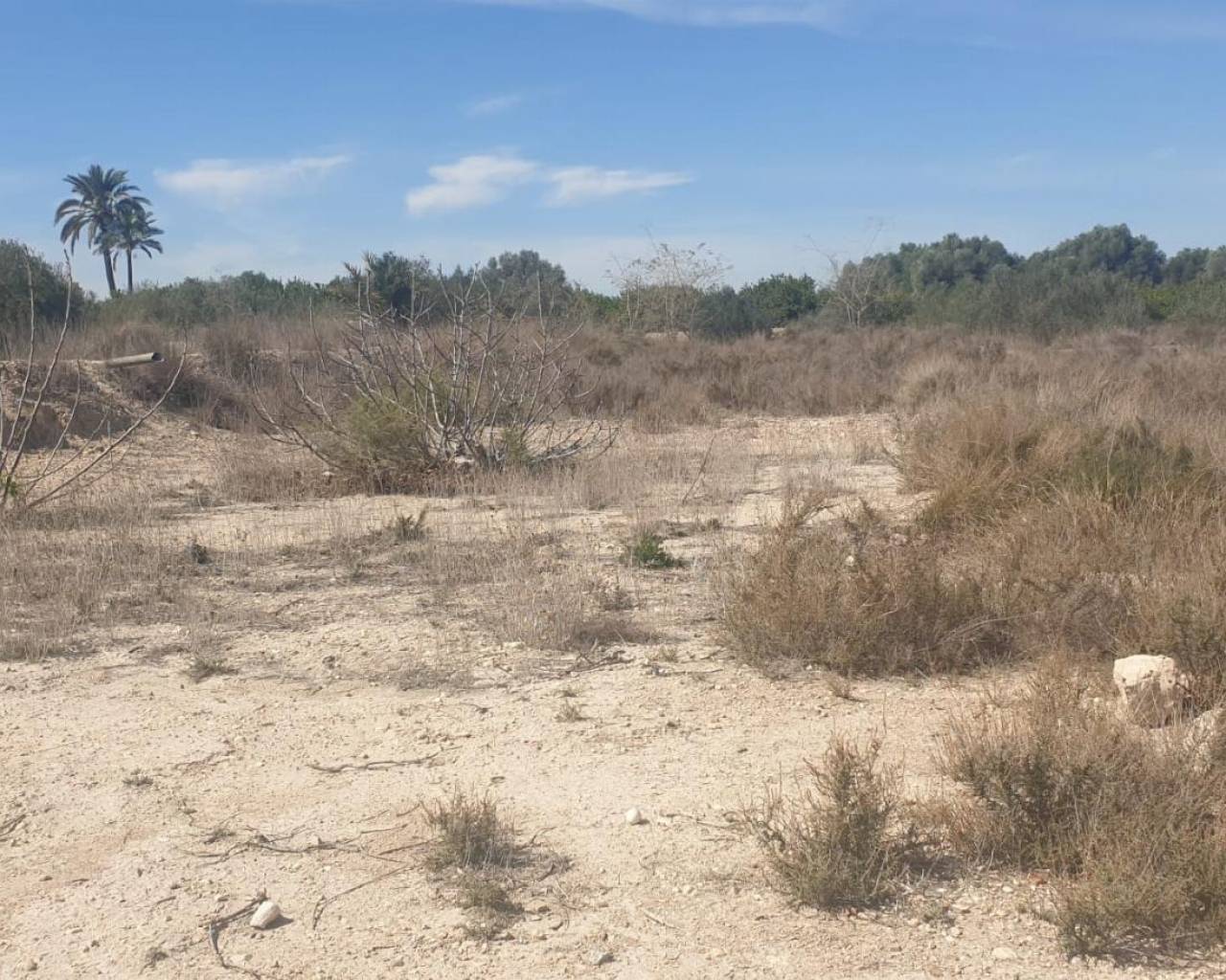 Terreno - Resale - Benferri - HUERTA PUEBLO