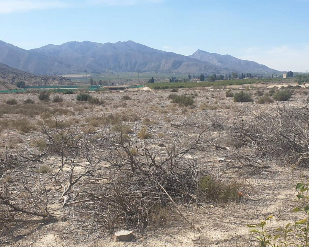 Terreno - Venta - Benferri - HUERTA PUEBLO