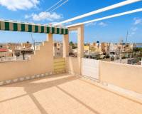 Venta - adosado - Torrevieja