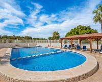 Venta -  - Algorfa - Lo Crispin