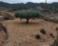 Venta - Apartamento - Abanilla