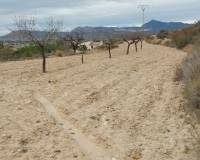 Venta - Apartamento - Abanilla