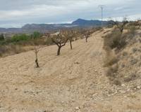 Venta - Apartamento - Abanilla