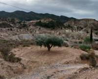 Venta - Apartamento - Abanilla