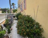 Venta - Apartamento - Algorfa