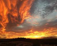 Venta - Apartamento - Algorfa